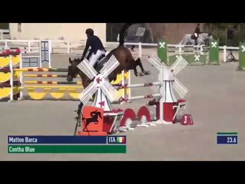 Contha Blue / 2011 - Oldenburg / Chacco Blue x Contender