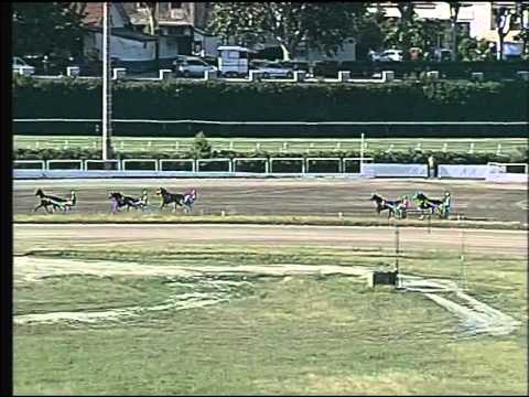 Trotto 31/05/2015 - corsa minitrotter