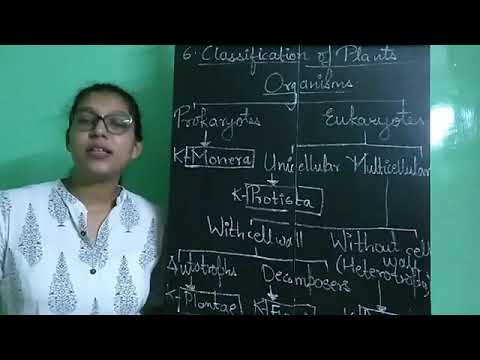 Iconic Students Academy Mumbai Video 1