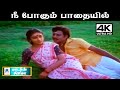 Nee Pogum Pathaiyil Song இளையராஜா இசையில் மலேசிய வாச