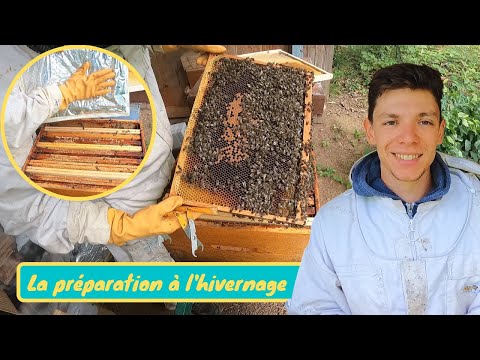 , title : 'Comment bien préparer ses abeilles à l'hiver et augmenter leur chance de survie ? Ma méthode'