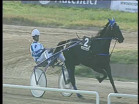 Trotto 10/06/2017 - 6ª corsa