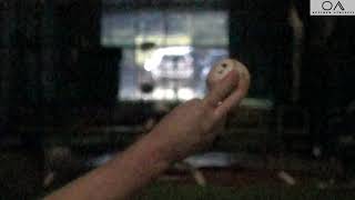 Logan Webb Slow Mo 12/30/20