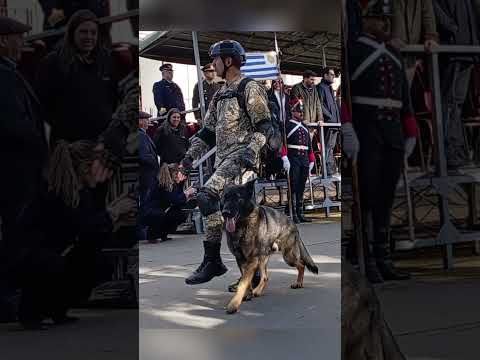 PARTE 2 DESFILE MILITAR Y POLICIAL 262 AÑOS NATALICIO DE JOSÉ GERVASIO ARTIGAS EN SAUCE, CANELONES