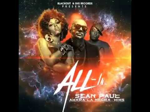 ALL - IN - Sean Paul & Amara La Negra feat. Mims (preview)