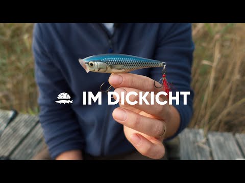 Kraut ohne Frust: KÖDER und TIPPS für schwierige Gewässer!