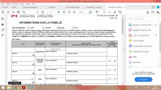 Comment remplir le formulaire imm imm5645f Version Tunisia Permis