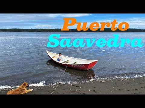 Explorando PUERTO SAAVEDRA y la REGIÓN de la ARAUCANIA