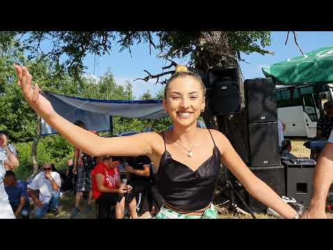 🔴 Dub kod Rogatice - Kolo za Mirnu rogatičku Vilu - Bosanski teferič