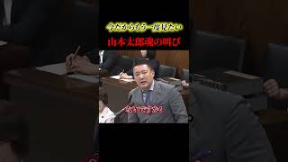 こういう議員がもっと増えたらいいな。。【政治】#ニュース#政治#shorts#社会問題