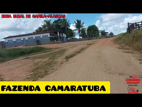 Passando pela Fazenda Camaratuba, Zona Rural De Capela-Alagoas