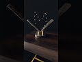 Very Satisfying Pendulum Tiktok Victordemartin