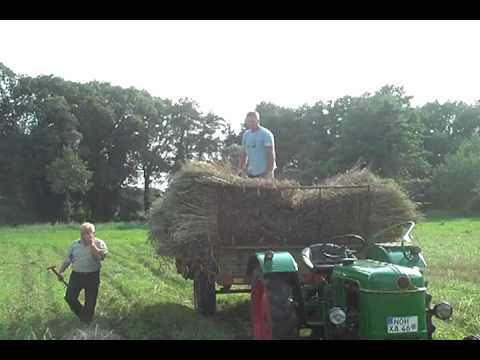 Getreideernte mit Deutz D25s Treckerfreunde Wilsum