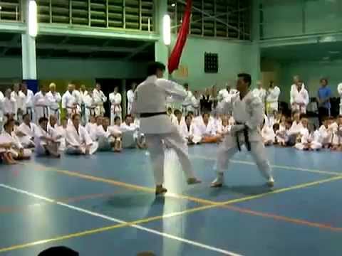 download lagu mp3 mp4 Robert Sullivan Karate, download lagu Robert Sullivan Karate gratis, unduh video klip Robert Sullivan Karate