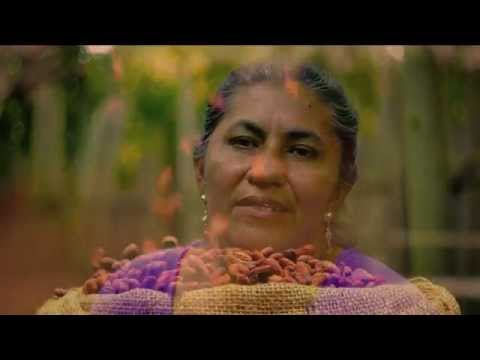 DE BAURES  A SUCRE, LA RUTA DEL CACAO SILVESTRE DE BAURES