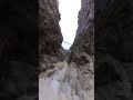 British wingsuit champion dies in Swiss alps after jumping off mountain