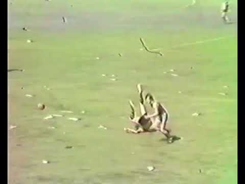 1983 SWFL League Grand Final