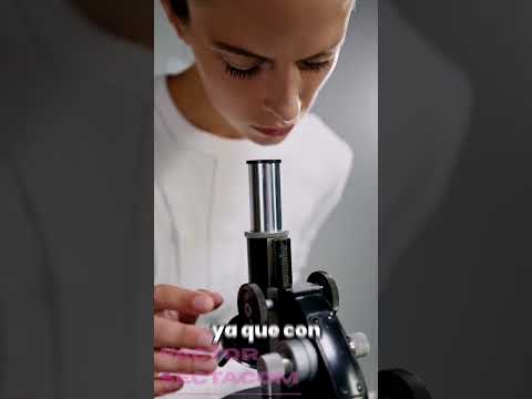 Video 7