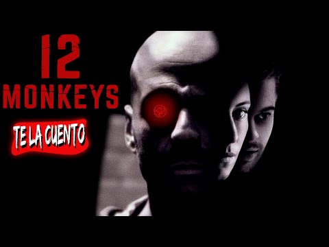 12 Monos En 5 Minutos