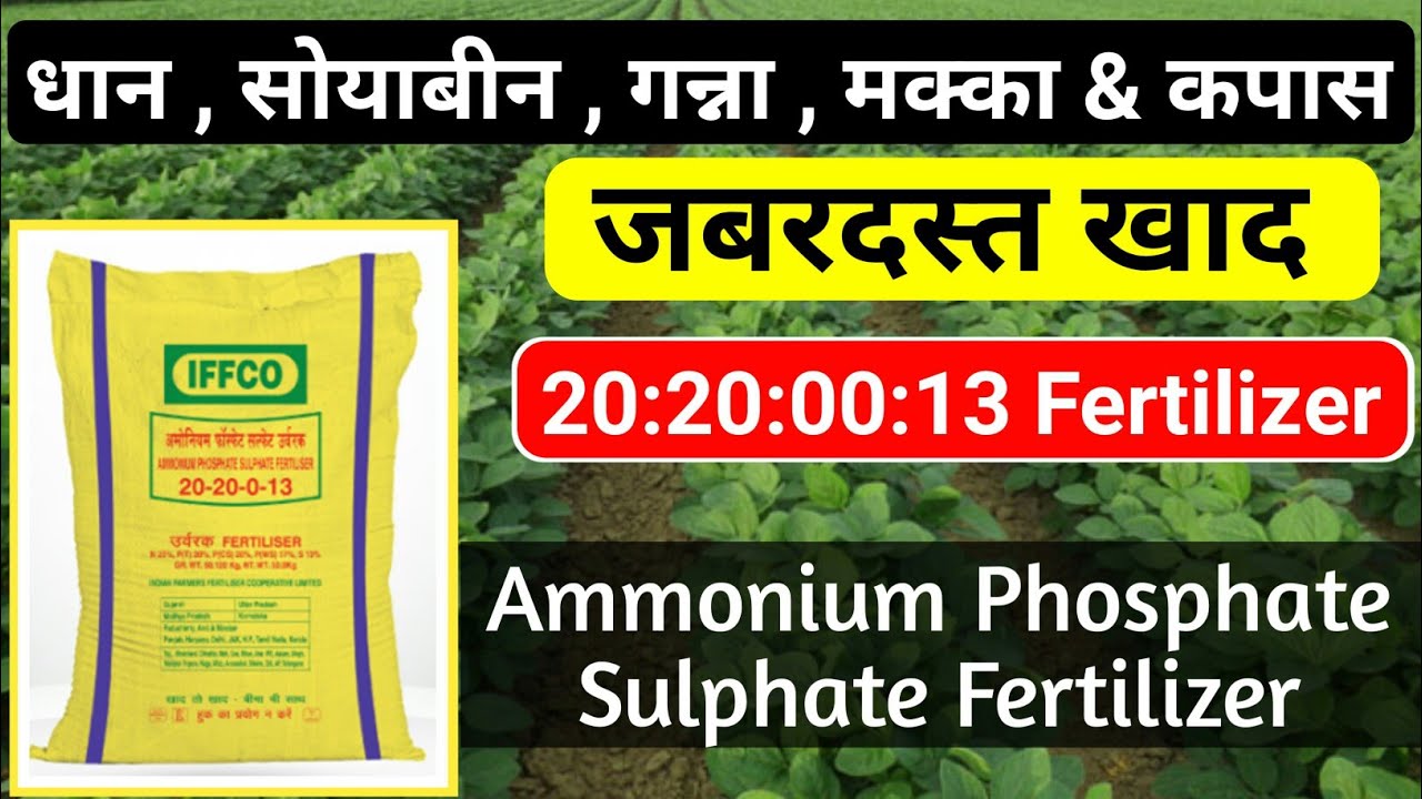 20:20:0:13 -: Ammonium Phosphate sulphate fertilizer