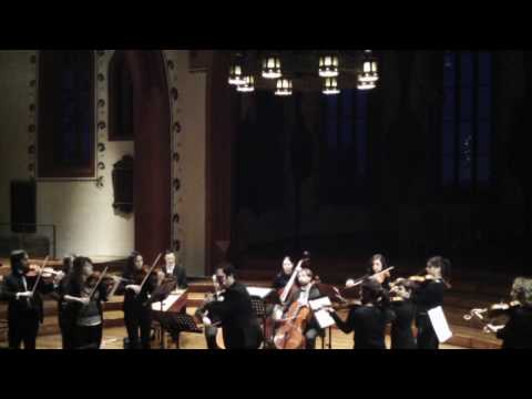 A. Vivaldi - Flute Concerto La Notte / Frederic Sánchez / Neues Orchester Basel