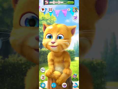 Ciao, sono Ginger, sono un gatto carino.