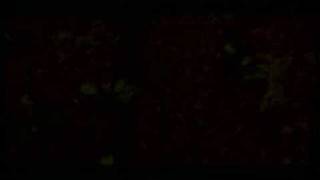 KREATOR:hallucinative comas pt 16 of 18