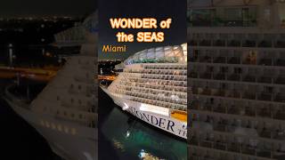 WONDER of the SEAS заходит в Майами #wonderoftheseas #miami #umarkeyn #travel #4k