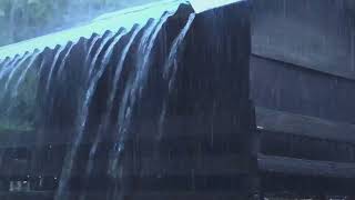 Best Rain Sounds for Sleeping | Real Heavy Rainstorm & Mighty Thunder on Tin Roof | White Noise