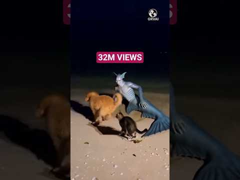 💀Cat Fights Creature!😡 #Cat #Cute #Shorts #Viralvideo #Fyp #Usa #Trending #Viral #AI