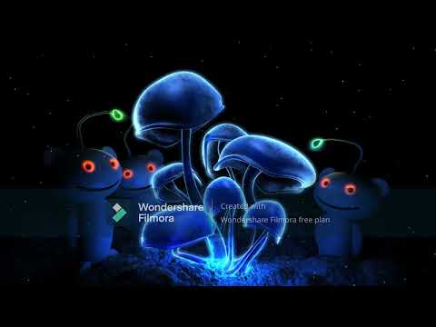 Ganja White Night Kill To Feel Ft Infected Mushroom