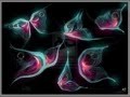 DREAMING BUTTERFLY