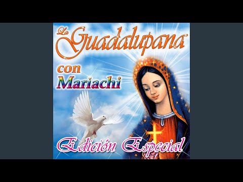 Buenos Días Paloma Blanca