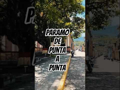 Recorriendo el páramo de punta a punta. Cap. I. #paramo #merida #venezuela