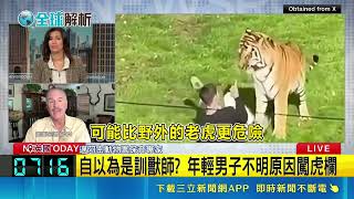 英動物園驚悚意外 男擅闖虎籠遭咬身亡 遊客全目擊 自以為是訓獸師? 年輕男子不明原因闖虎欄 園方射5顆催淚彈驅獸 男入虎口仍傷重不治 ｜三立新聞網 SETN.com