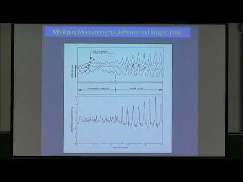 Correlation of local ice forces across the width of a structure during ice-structure interaction