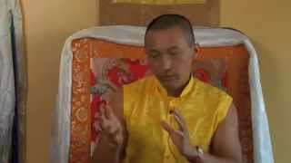 Movement with the Mind of Meditation - Sakyong Mipham Rinpoche