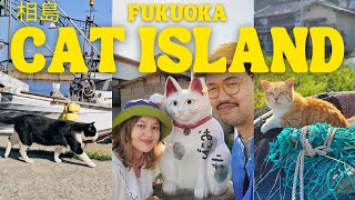Visiting Japan's Cat Island 🇯🇵 Fukuoka Japan Vlog, Kyushu Travel, Ainoshima, Aoshima, Tashirojima