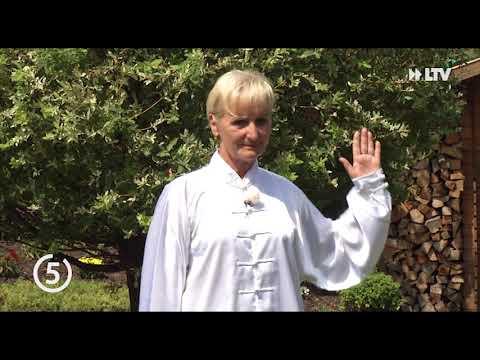 Meine 5 Minuten August 2019 - 14.08.2019