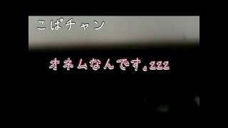 【子猫】part21ちょこおねむです。大あくび！そのあとは？