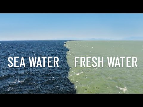 Where does salt water meet fresh water?