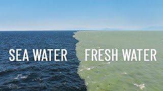 Fresh Water Meets Sea Water – Boundary Explained