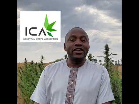 , title : 'Introducing Dr. Gama - ICA Malawi'