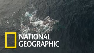 [分享] 個人覺得台男工具人還做的不夠到位