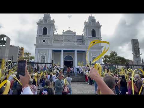 Domingo de Ramos 2025, San José Costa Rica 🇨🇷💟⚜️