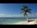 Relaxing 3 Hour Video of A Tropical Beach with Blue ...