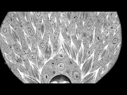 Guy Gerber - Hate / Love (Maayan Nidam Remix)