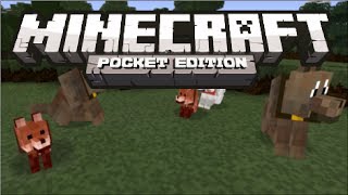 Minecraft Pocket Edition - How to Find Wolves Tutorial