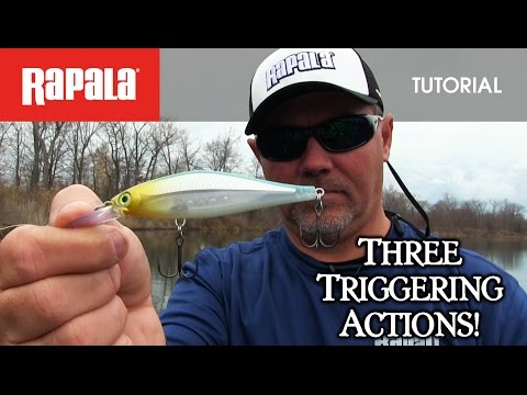 Rapala Shadow Rap Shad 9cm 12g BUD F