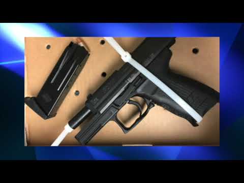 Newark Airport Gun Found